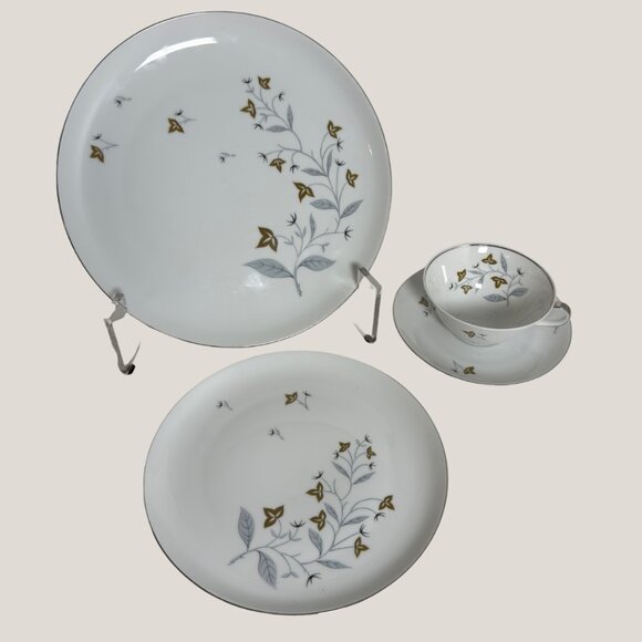 One Vintage Eschenbach Bavaria-Germany Baronet China Place Setting - Picture 1 of 6